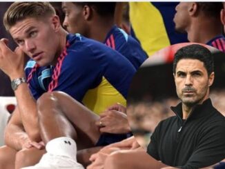 Viktor Gyokeres opens up on Arsenal frustration and limited playing time
